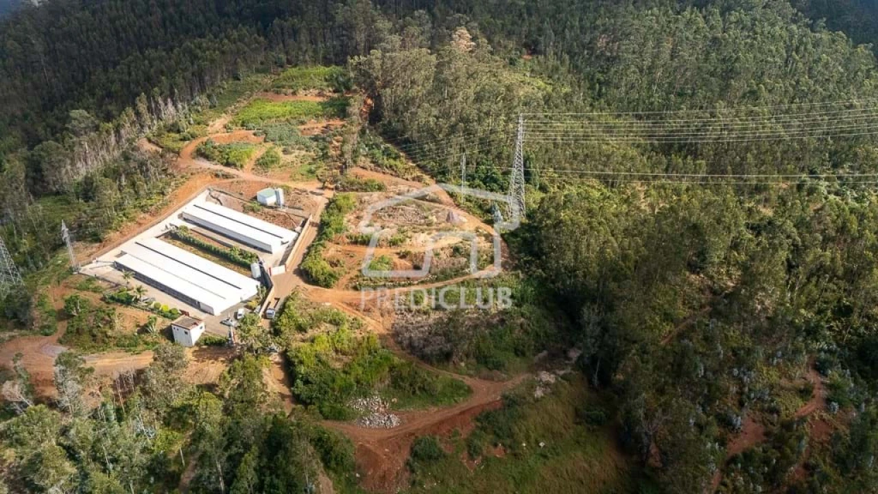 Terreno para Venda em Quinta Grande Foto 6