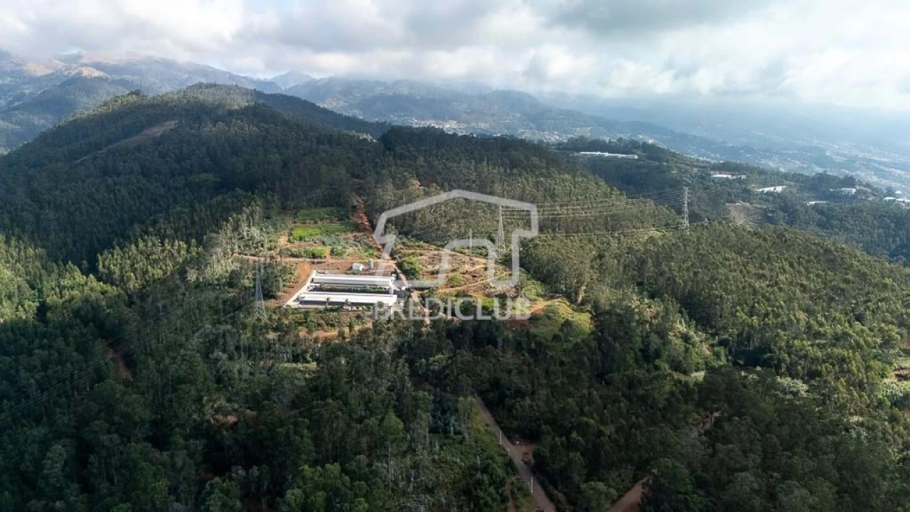 Terreno para Venda em Quinta Grande Foto 5