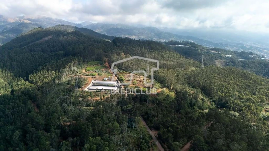 Terreno para Venda em Quinta Grande Foto 5