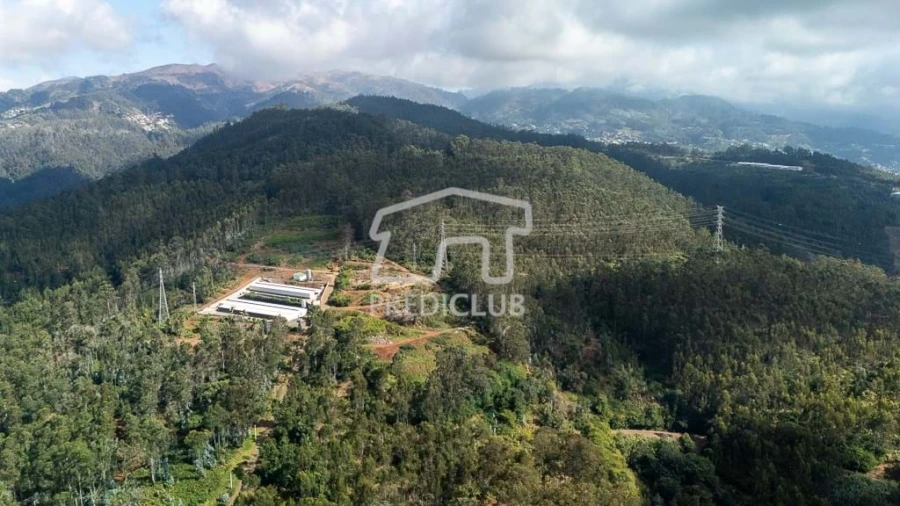 Terreno para Venda em Quinta Grande Foto 11