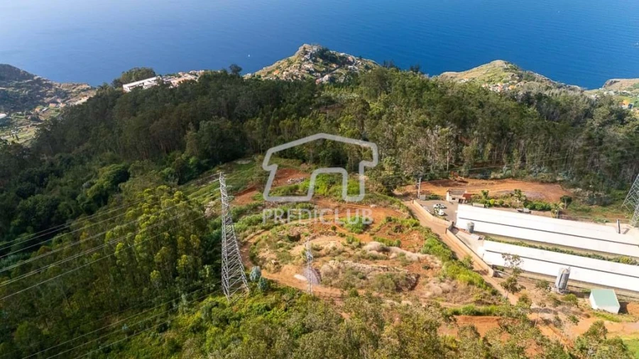 Terreno para Venda em Quinta Grande Foto 7