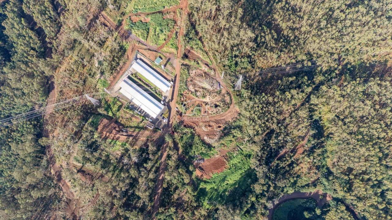 Terreno para Venda em Quinta Grande Foto 14