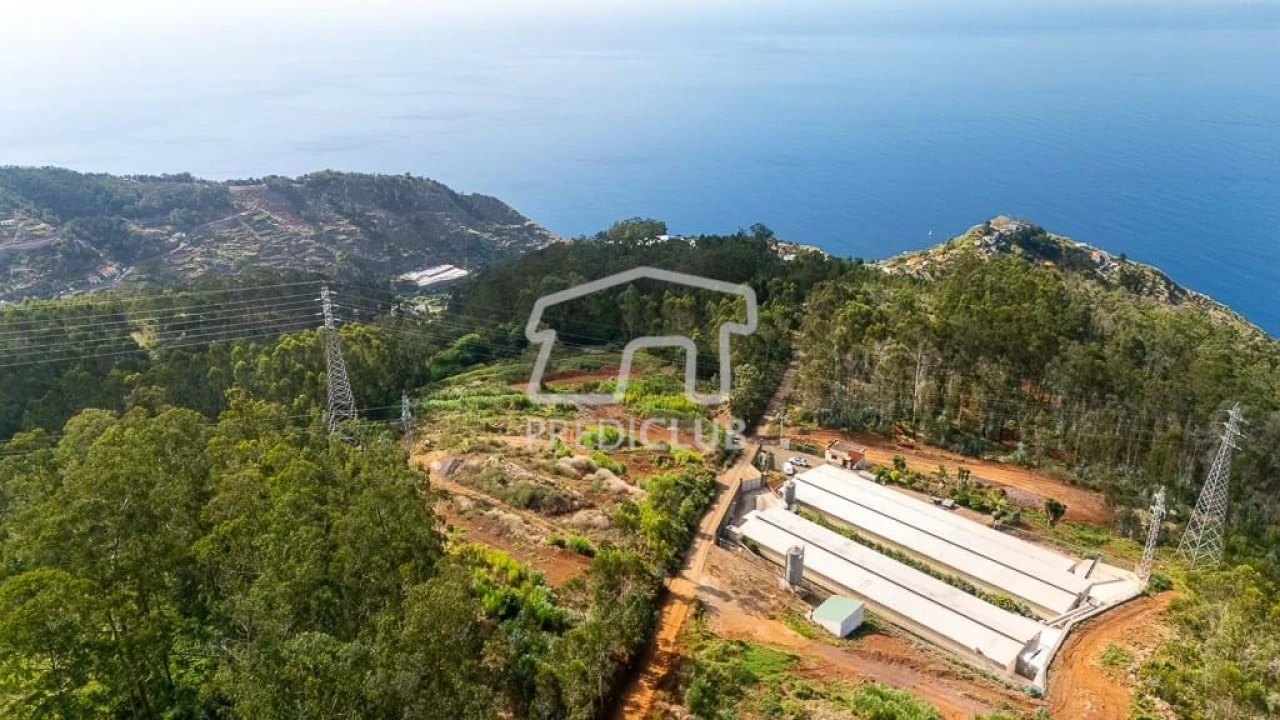 Terreno para Venda em Quinta Grande Foto 8