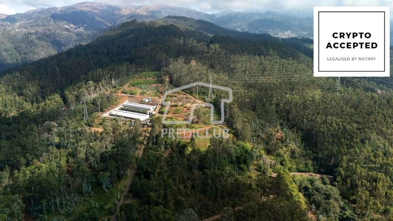 Terreno para Venda em Quinta Grande Foto 1