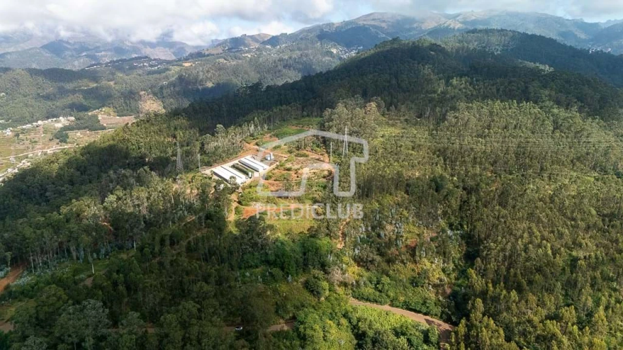 Terreno para Venda em Quinta Grande Foto 4