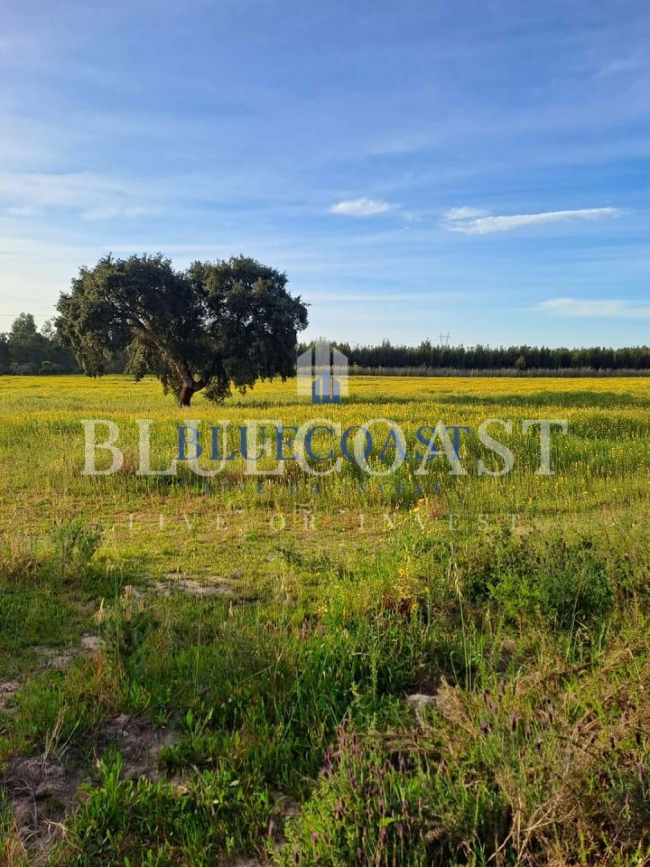 Quinta T1 para Venda em Melides Foto 2