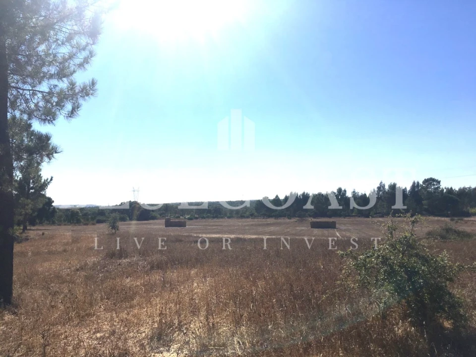 Quinta T1 para Venda em Melides Foto 5