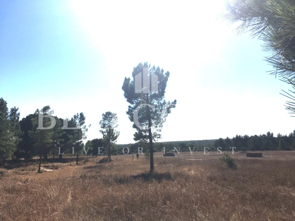 Quinta T1 para Venda em Melides Foto 9