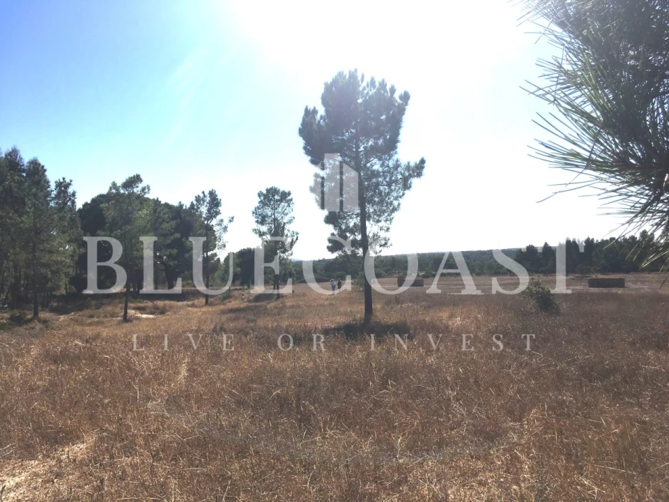 Quinta T1 para Venda em Melides Foto 10