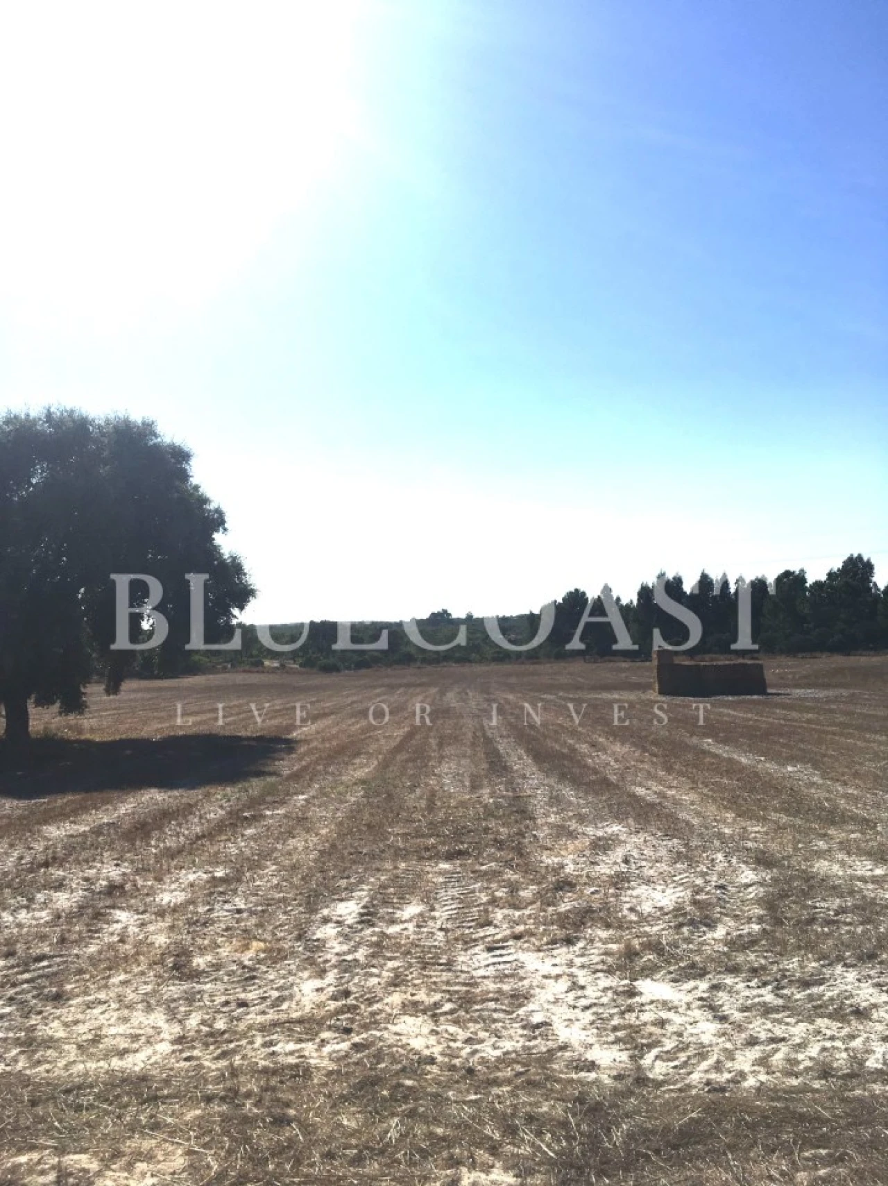 Quinta T1 para Venda em Melides Foto 12