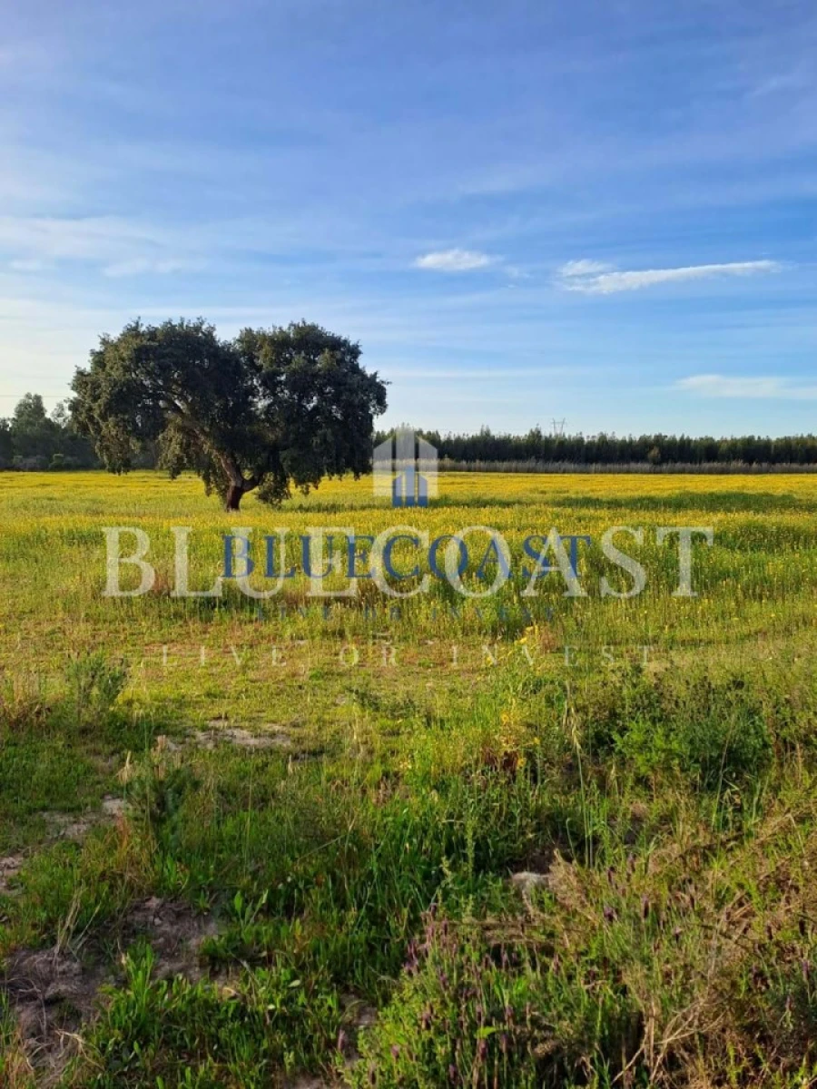 Quinta T1 para Venda em Melides Foto 2