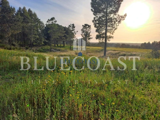 Quinta T1 para Venda em Melides