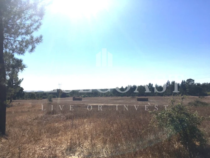 Quinta T1 para Venda em Melides Foto 5