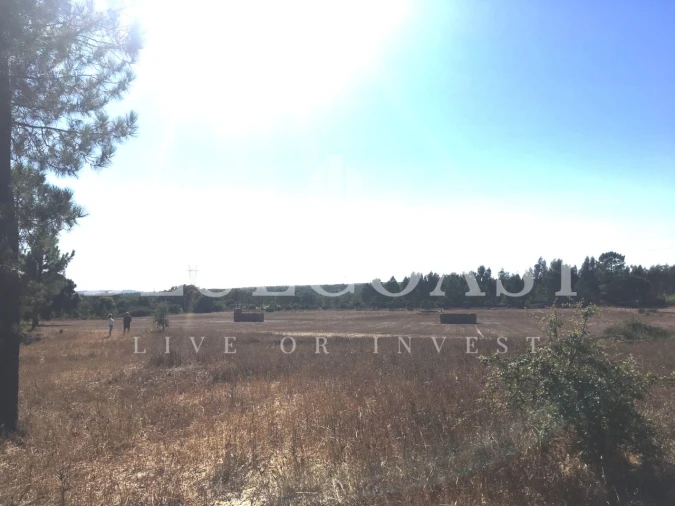 Quinta T1 para Venda em Melides Foto 8