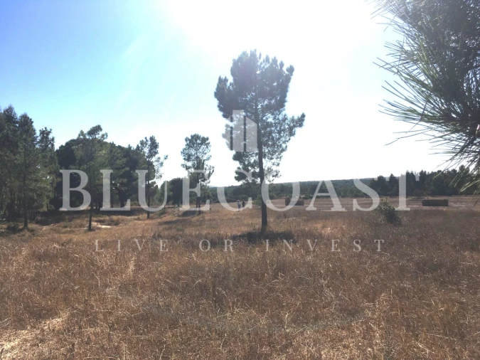 Quinta T1 para Venda em Melides Foto 10