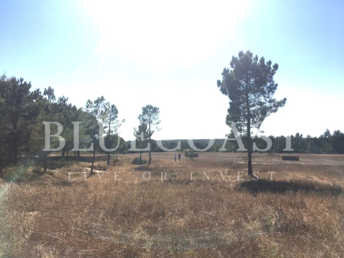 Quinta T1 para Venda em Melides Foto 11