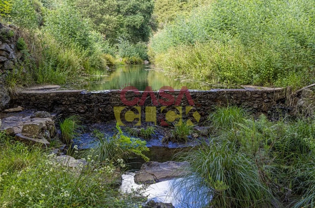 Moradia T3 para Venda em Cardigos Foto 33