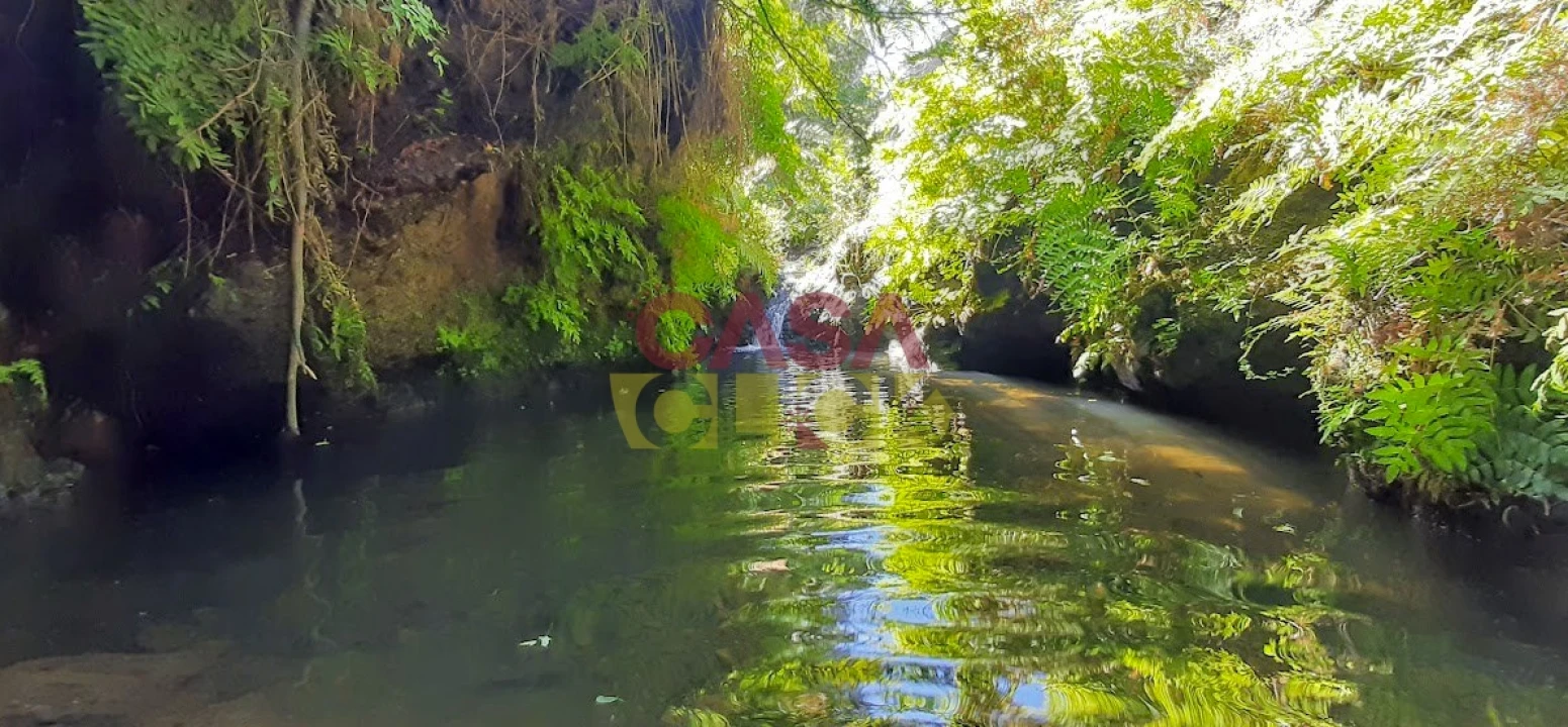 Moradia T3 para Venda em Cardigos Foto 31