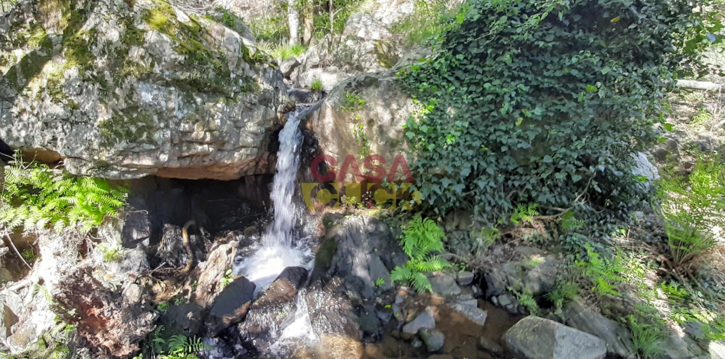 Moradia T3 para Venda em Cardigos Foto 45