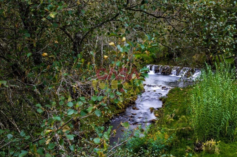 Moradia T3 para Venda em Cardigos Foto 32