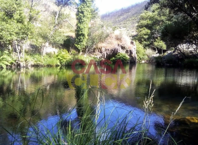 Moradia T3 para Venda em Cardigos Foto 44