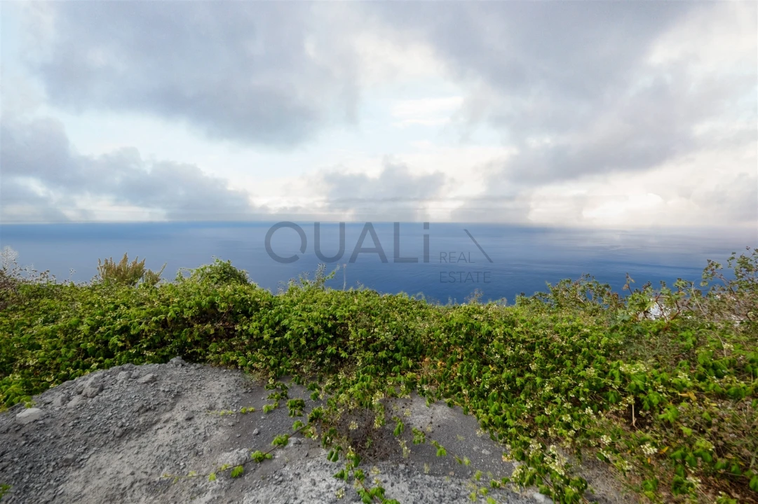 Terreno Agricola ou Rústico para Venda em Prazeres Foto 2