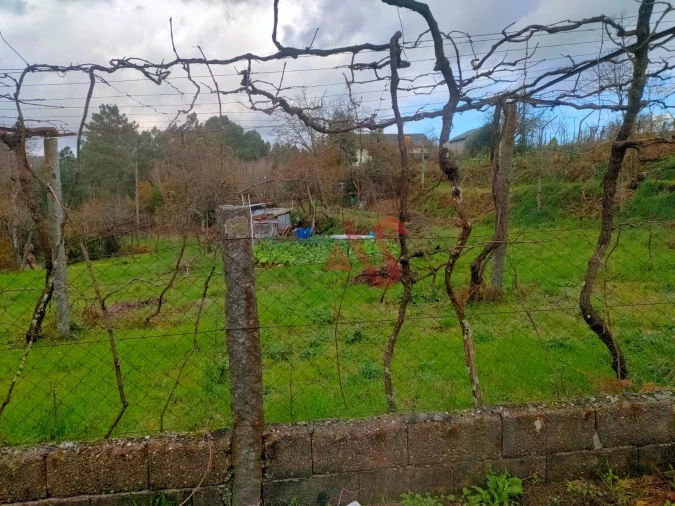 Terreno para Venda em Regadas Foto 4