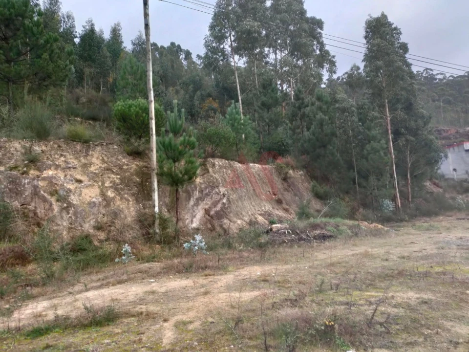 Terreno Agricola ou Rústico para Venda em Santa Eulália Foto 3