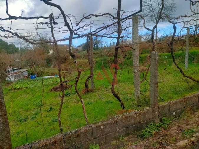 Terreno para Venda em Regadas Foto 5