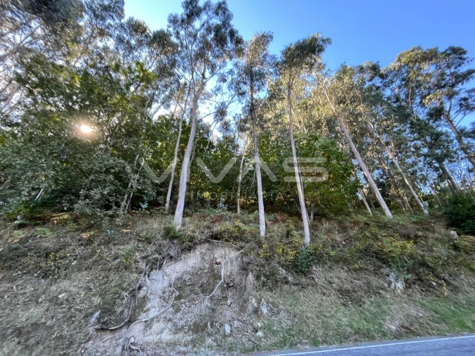 Terreno Agricola ou Rústico para Venda em Louredo Foto 2