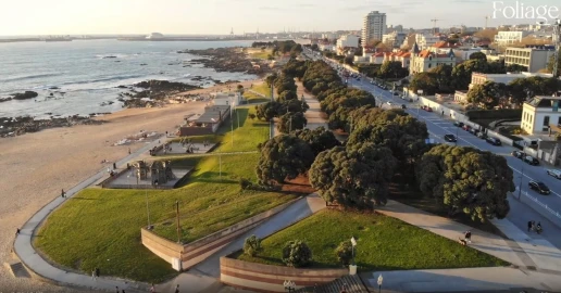 Apartamento T3 para Venda em Aldoar, Foz do Douro e Nevogilde