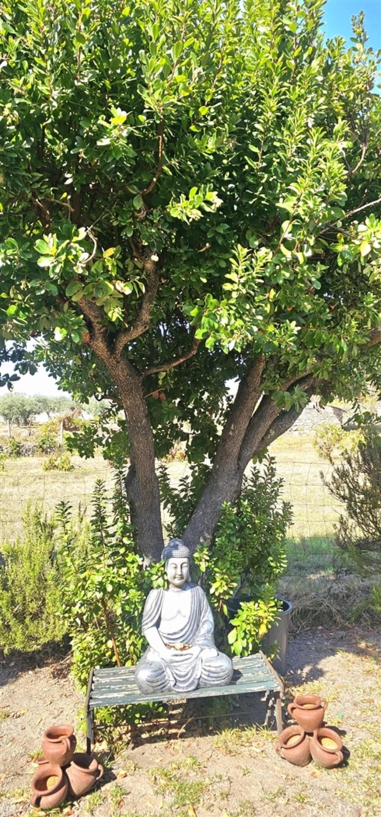 Moradia T0 para Venda em Aldeia do Bispo, Águas e Aldeia de João Pires Foto 27