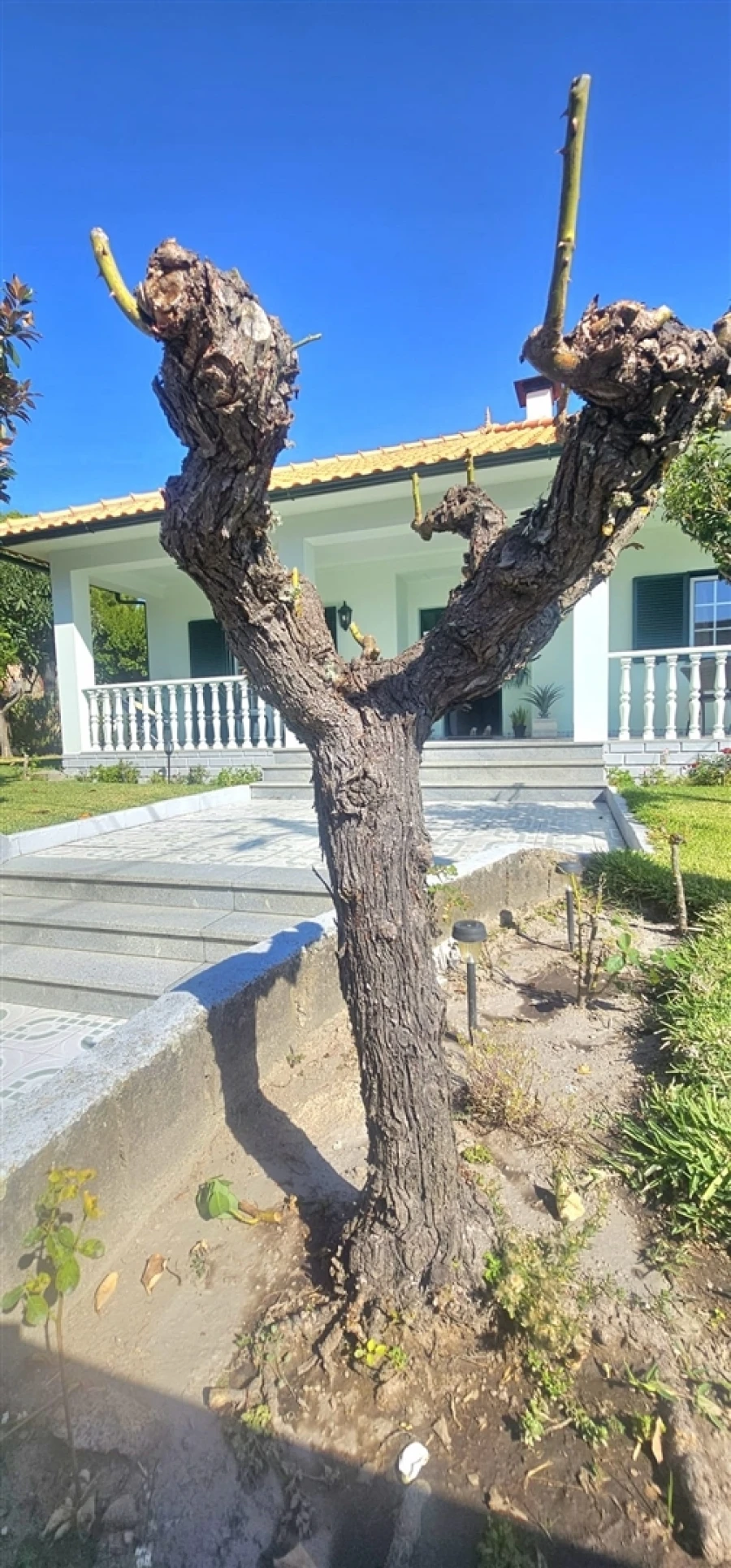 Moradia T0 para Venda em Aldeia do Bispo, Águas e Aldeia de João Pires Foto 41