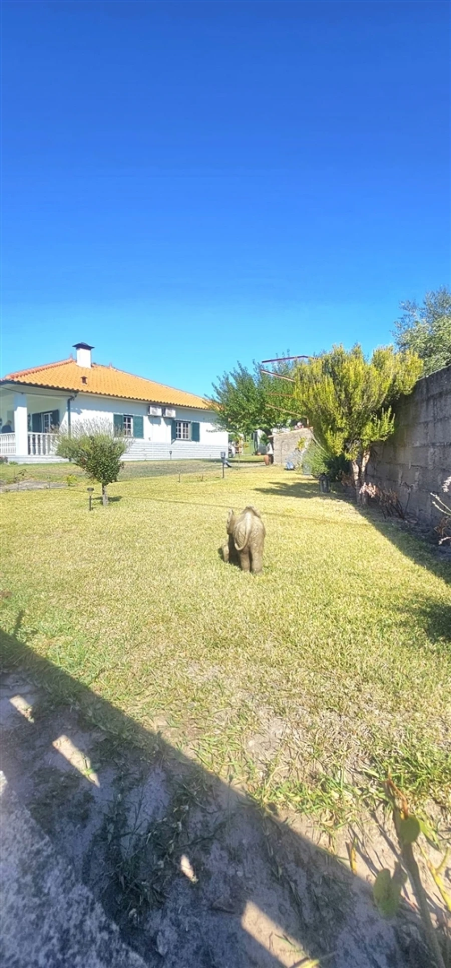 Moradia T0 para Venda em Aldeia do Bispo, Águas e Aldeia de João Pires Foto 40
