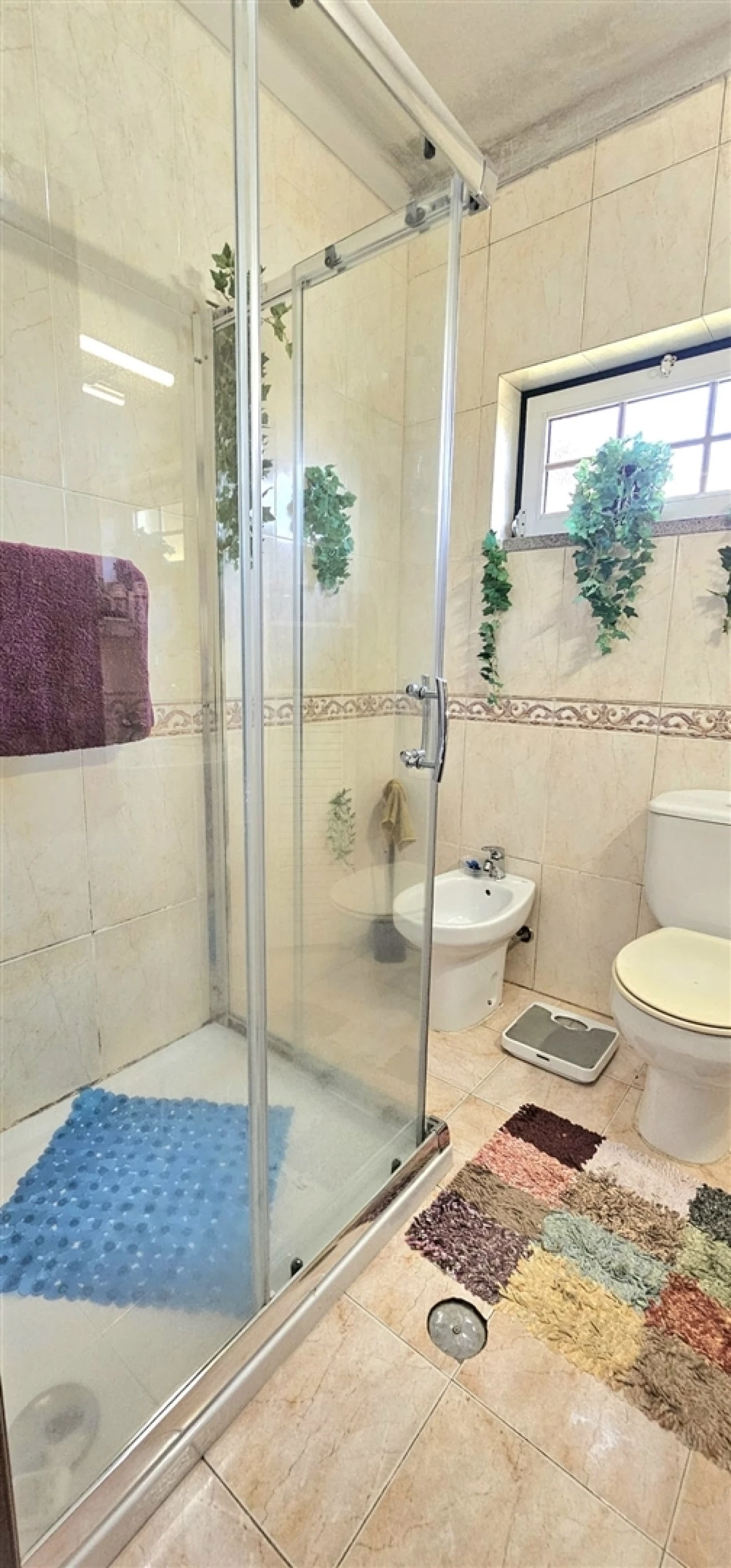 Moradia T0 para Venda em Aldeia do Bispo, Águas e Aldeia de João Pires Foto 89