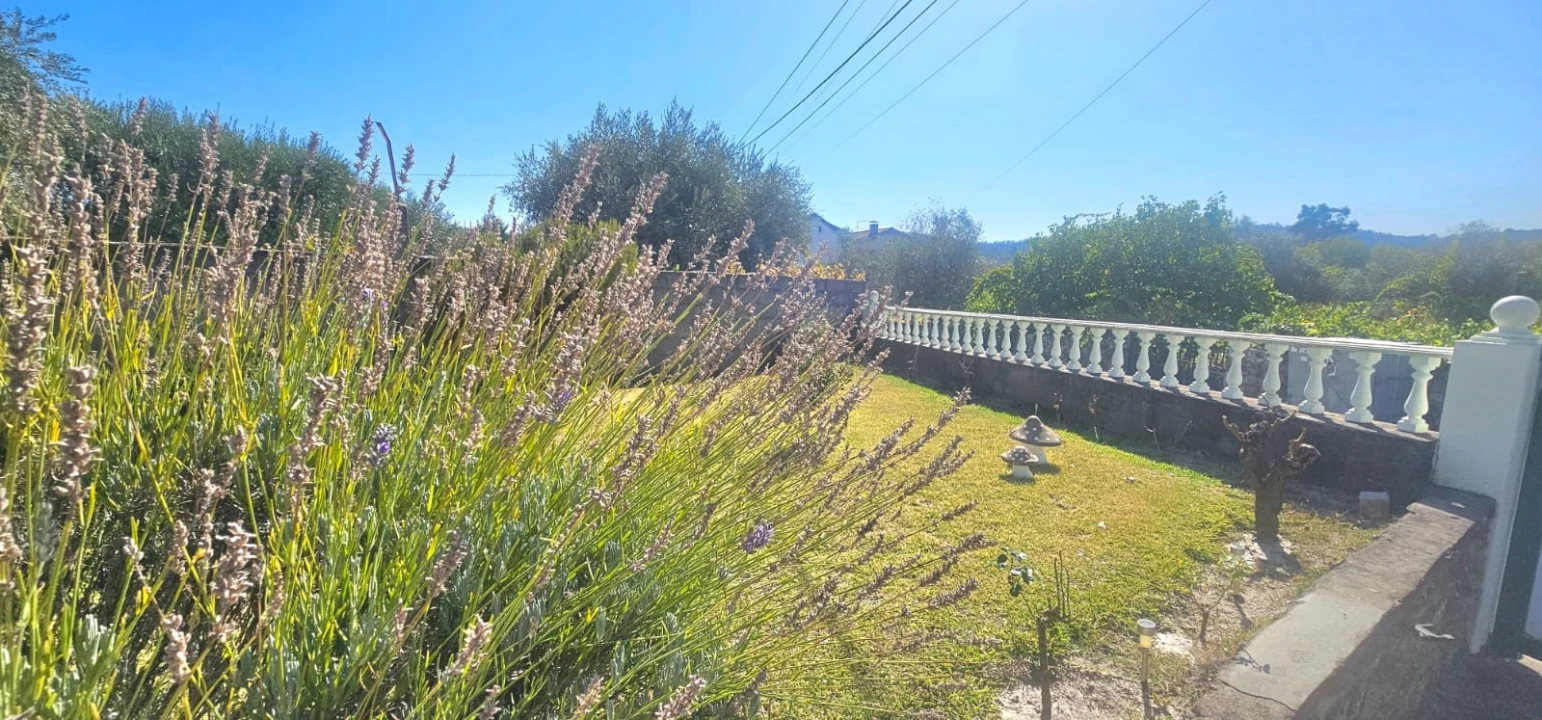 Moradia T0 para Venda em Aldeia do Bispo, Águas e Aldeia de João Pires Foto 74