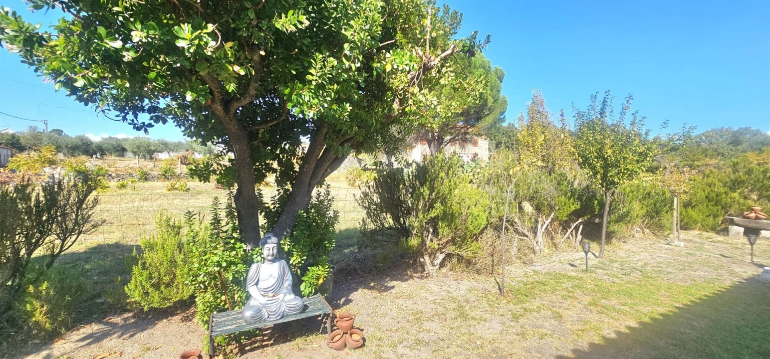 Moradia T0 para Venda em Aldeia do Bispo, Águas e Aldeia de João Pires Foto 26