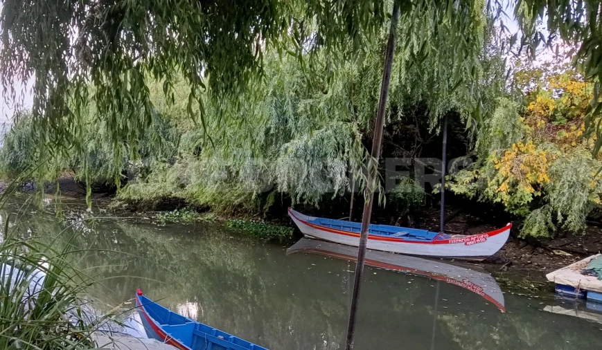 Moradia T2 para Venda em Glória do Ribatejo e Granho Foto 20