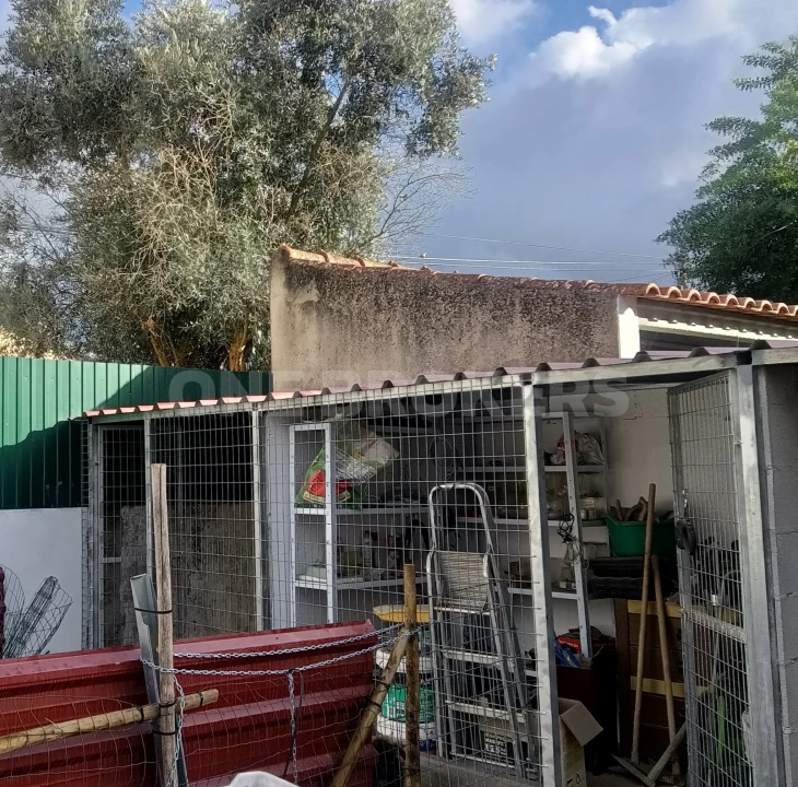 Moradia T2 para Venda em Glória do Ribatejo e Granho Foto 12