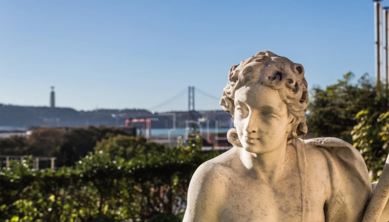 Apartamento T1 para Venda em Estrela Foto 13