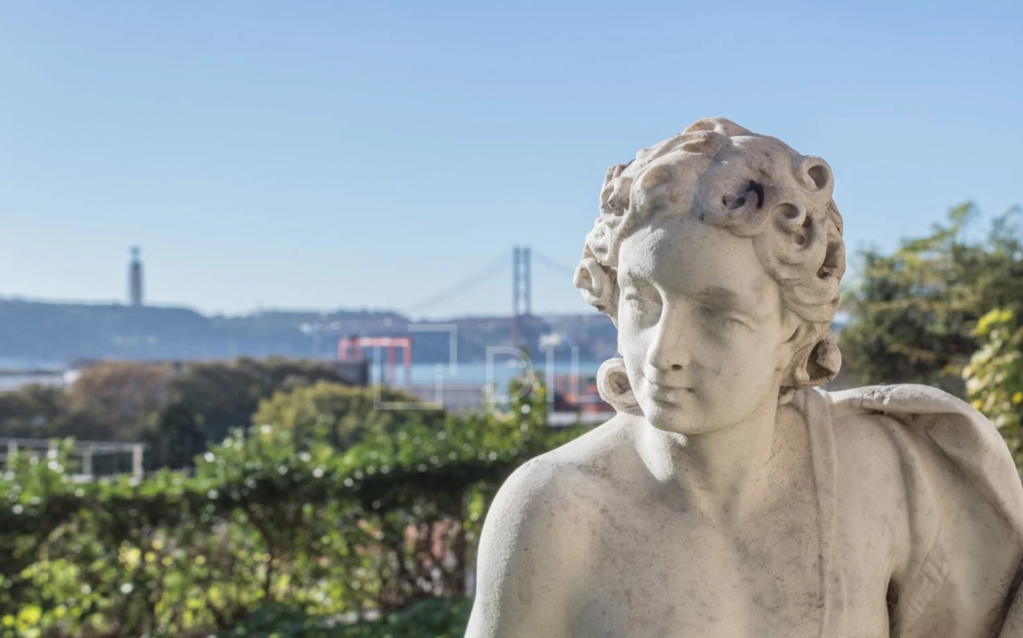 Apartamento T1 para Venda em Estrela Foto 14