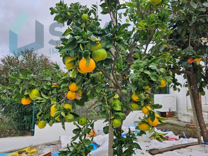 Moradia T3 para Venda em Santa Maria, São Pedro e Matacães Foto 16