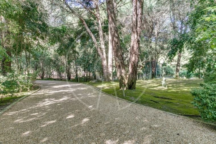 Moradia T5 para Venda em Santo Estêvão Foto 61