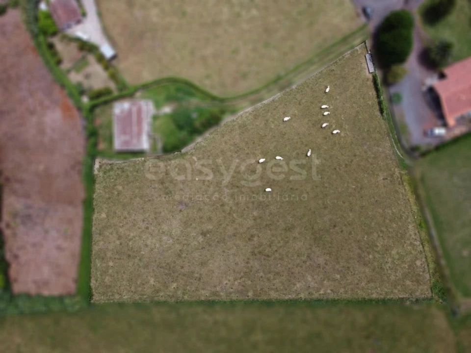 Terreno para Venda em São Pedro Foto 1