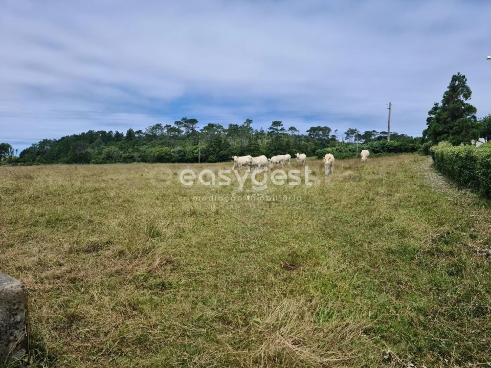 Terreno para Venda em São Pedro Foto 3