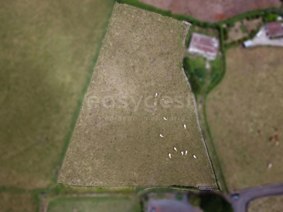 Terreno para Venda em São Pedro Foto 4