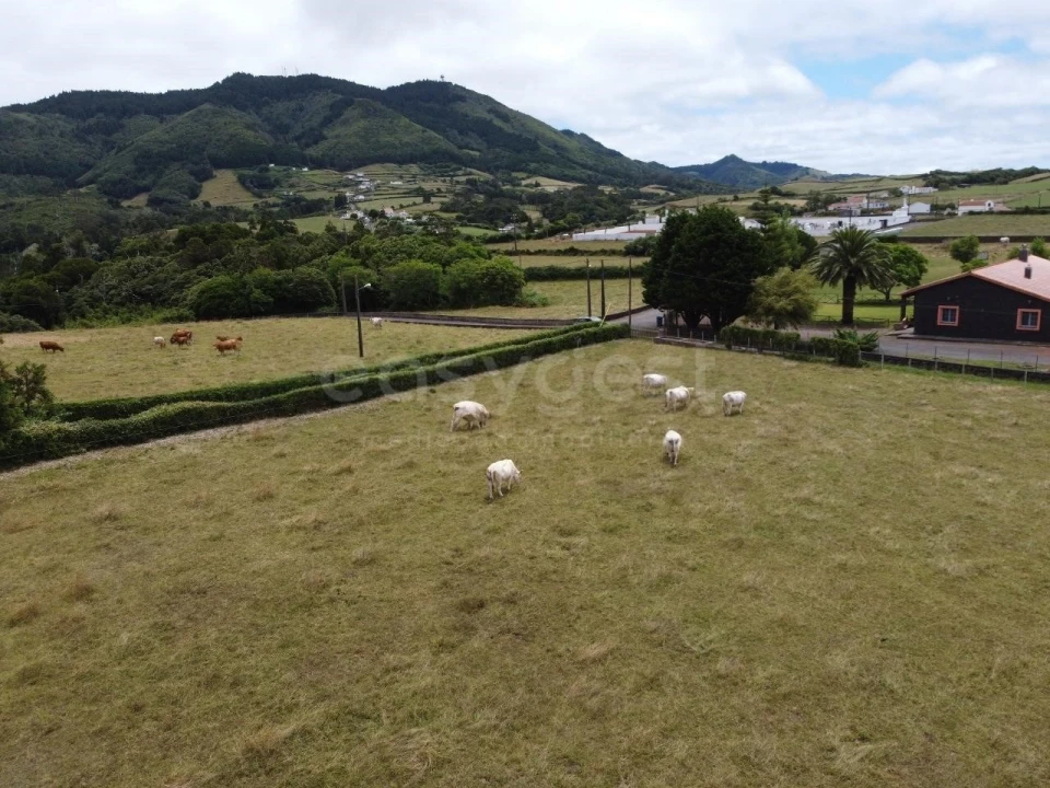 Terreno para Venda em São Pedro Foto 6