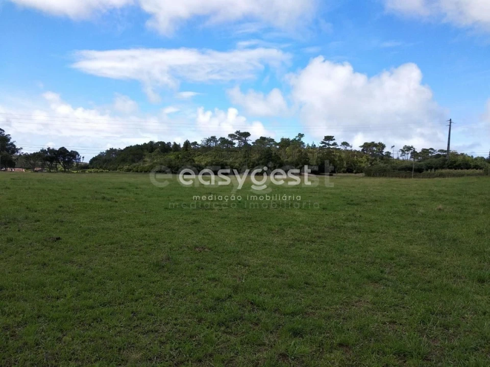 Terreno para Venda em São Pedro Foto 14