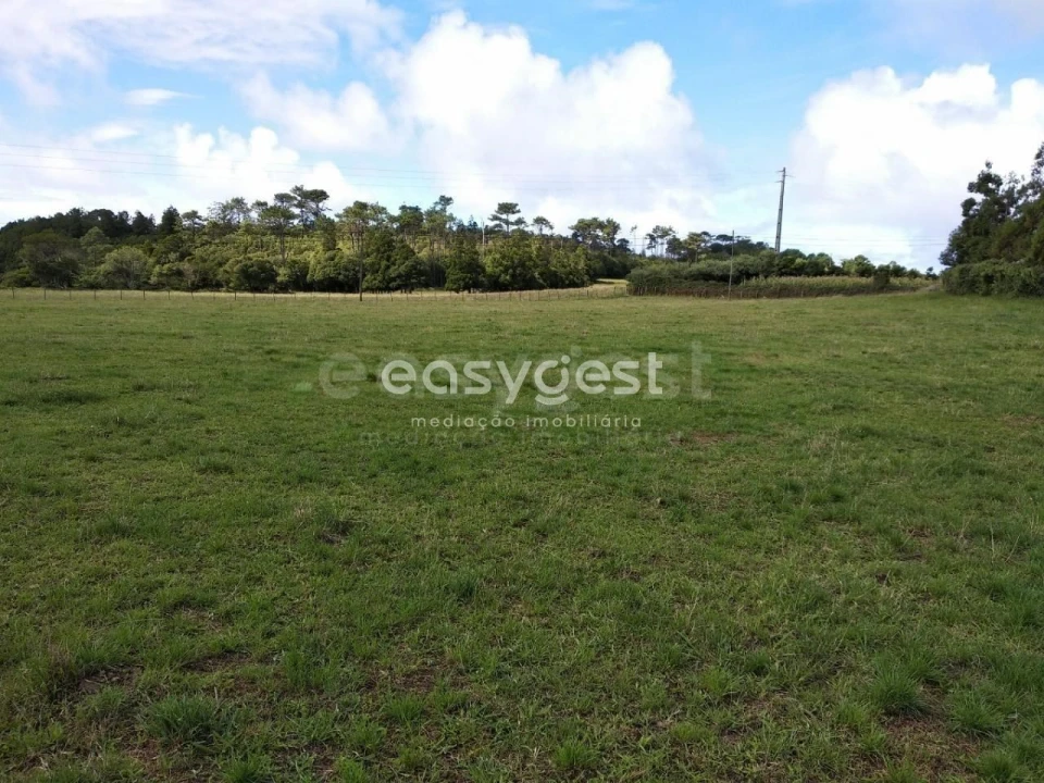 Terreno para Venda em São Pedro Foto 17