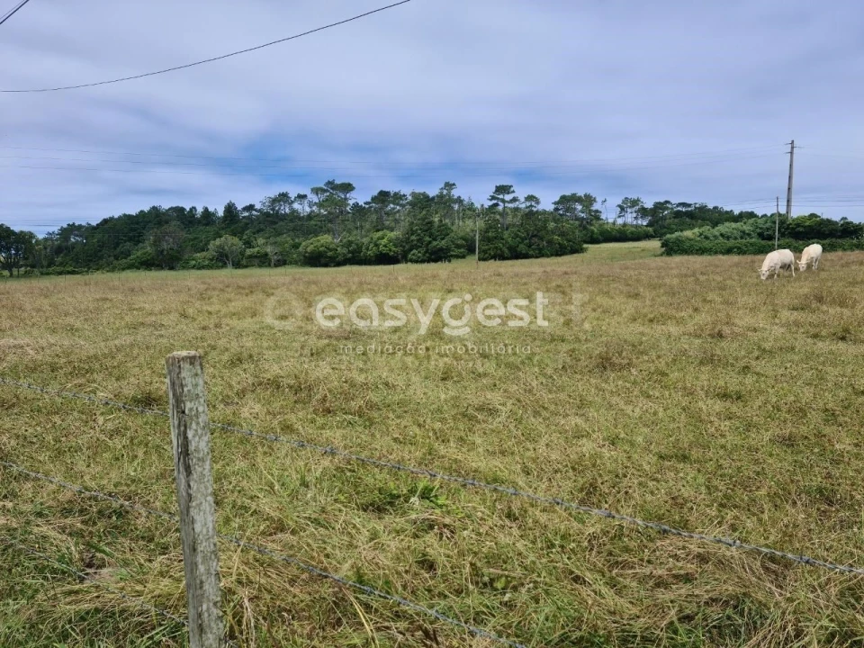 Terreno para Venda em São Pedro Foto 18